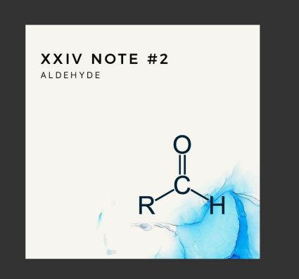 XXIV Notes Aldehydes