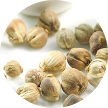 Bạch Đậu Khấu