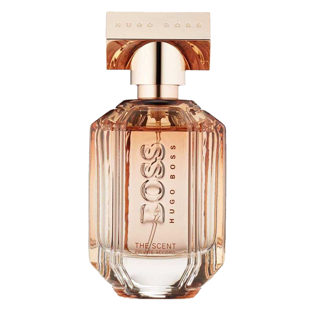 BOSS THE SCENT PRIVATE ACCORD PF EDP 100mL – Sentrum Pharmacy | lupon ...