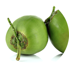 Quả dừa