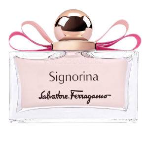 signorina EDP
